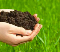 肥料的青岛肥料检测标准是怎么样的
