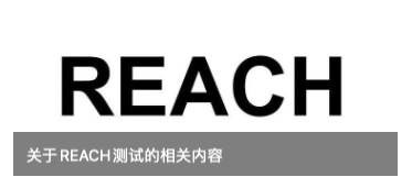青岛REACH测试的项目有哪些?